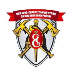 Аватар канала «СПб ГКУ "ПСО Пушкинского района"»