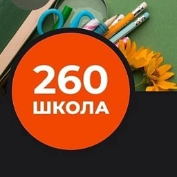 Аватар канала «Средняя школа №260 Санкт-Петербург»