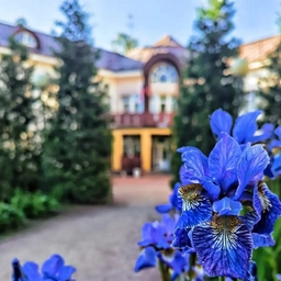 Аватар канала «ГБДОУ детский сад 19 Курортного района Санкт-Петербурга»