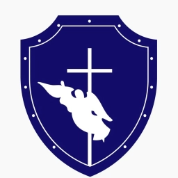 Аватар канала «Закон и порядок в Петербурге»