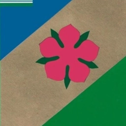 Аватар канала «Бираканское городское поселение»