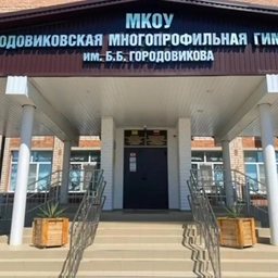 Аватар канала «МКОУ "ГМГ им. Б.Б. Городовикова"»
