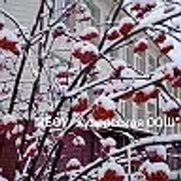 Аватар канала «МБОУ "Купросская ООШ"»