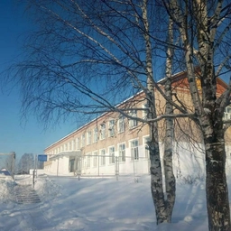 Аватар канала «МБОУ "Пелымская СОШ"»