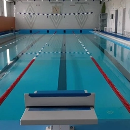 Аватар канала «МАОУ ДО "Центр плавания "Дельфин"»