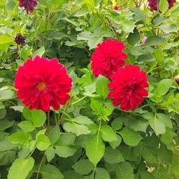 Аватар канала «МАДОУ Радуга пгт Приобье»