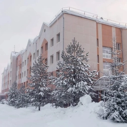 Аватар канала «Бюджетное учреждение Пионерская районная больница»