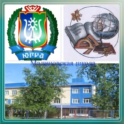 Аватар канала «МАОУ СОШ п. Малиновский»