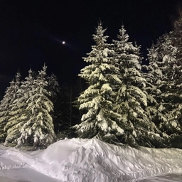 Аватар канала «МБОУ Угутская СОШ»