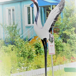 Аватар канала «МБДОУ детский сад «Журавушка»»