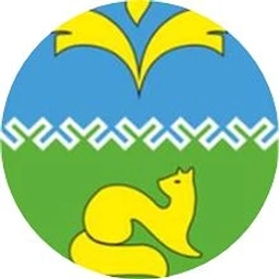 Аватар канала «Покачи»