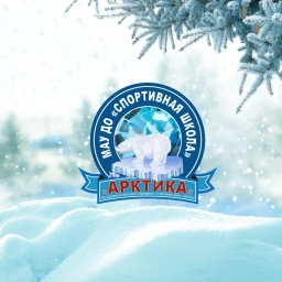 Аватар канала ««Спортивная школа «Арктика» Надым»