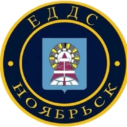Аватар канала «ЕДДС-112 г. Ноябрьск»