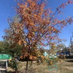 Аватар канала «МБДОУ "ДЕТСКИЙ САД" РЯБИНУШКА" СТ. ИСПРАВНОЙ"»