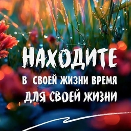 Аватар канала «Канал MAX_Коктебельская школа»