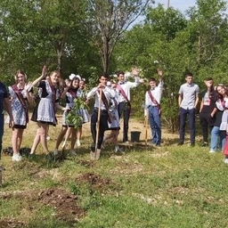 Аватар канала «МБОУ Новоселовская школа»