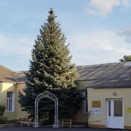 Аватар канала «Официальный канал МБОУ "Николаевская школа"»