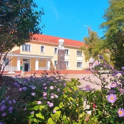 Аватар канала «ГБС(к)ОУ "ОШИ № 6 имени И.Е.Петрова"»