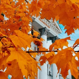 Аватар канала «Дворец детского и юношеского творчества "Юность" города Тореза»