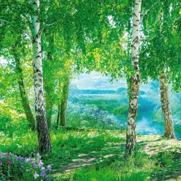 Аватар канала «ГБДОУ "ДЕТСКИЙ САД № 15 "БЕРЁЗКА" Г.О.ЕНАКИЕВО" ДНР»