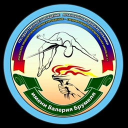 Аватар канала «ГБОУ ЛНР "ЛСШ №17 ИМЕНИ В. БРУМЕЛЯ"»