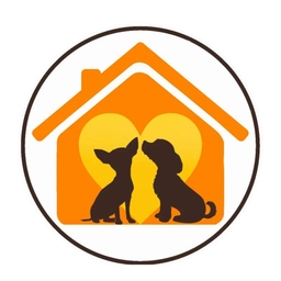 Аватар канала «Домик Мелкашей - приют для маленьких собак»