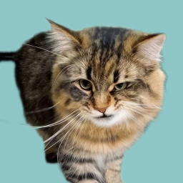 Аватар канала «Котейкин»