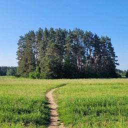 Аватар канала «Ильинское. Новости»