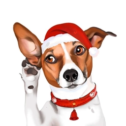 Аватар канала «Джек Рассел терьер»