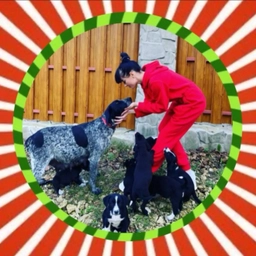 Аватар канала «Lana Liman - блогер, автор контента, волонтер. Ежедневные новости. Жизнь, семья, собаки и кошки»