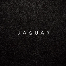 Аватар канала «J A G U A R»