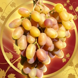 Аватар канала «Кинельский виноград»