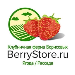 Аватар канала «Клубничная ферма Борисовых»