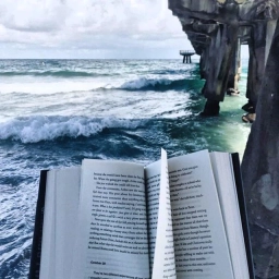 Аватар канала «Ещё главу и спать | Литература»