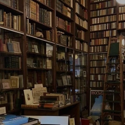 Аватар канала «Двухтомный книголюб»