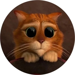 Аватар канала «Милые котики😻»