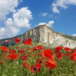 Аватар канала «Крымовед. О Крыме. Гид по Крыму»