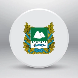 Аватар канала «Курганская область»