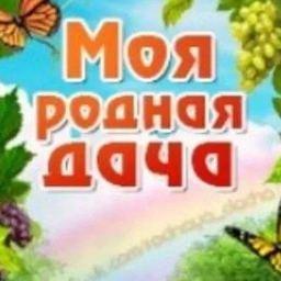 Аватар канала «Моя Родная Дача»