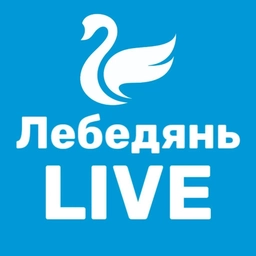 Аватар канала «Лебедянь LIVE»