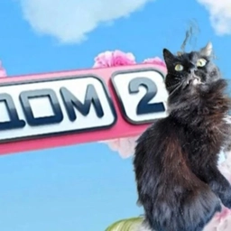 Аватар канала «Леопольд»