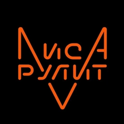 Аватар канала «Лиса Рулит Lisarulit»