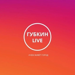 Аватар канала «ГУБКИН LIVE»