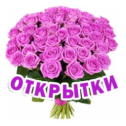 Аватар канала «Открытки Поздравления Пожелания»