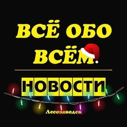Аватар канала «Лесозаводск. Новости.»