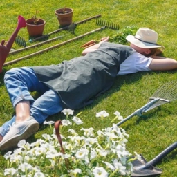 Аватар канала «Лучшая Дача»