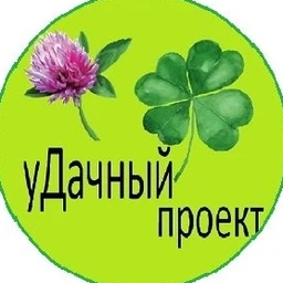 Аватар канала «уДачный проект»