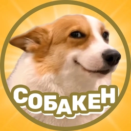 Аватар канала «Собачата | Смешные собаки😂»