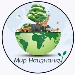 Аватар канала «Мир Наизнанку»