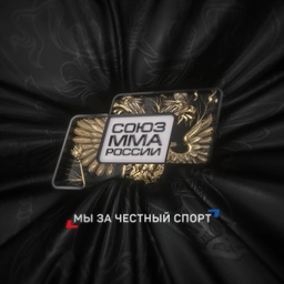 Аватар канала «Союз ММА России»